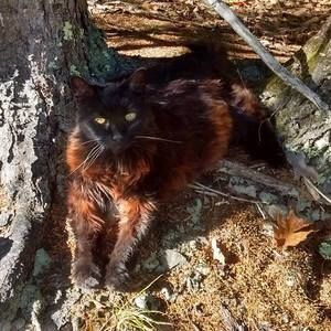 Meet your Posher, Lisa m